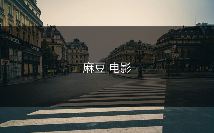 麻豆 电影