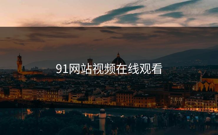 91网站视频在线观看