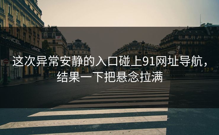 这次异常安静的入口碰上91网址导航，结果一下把悬念拉满