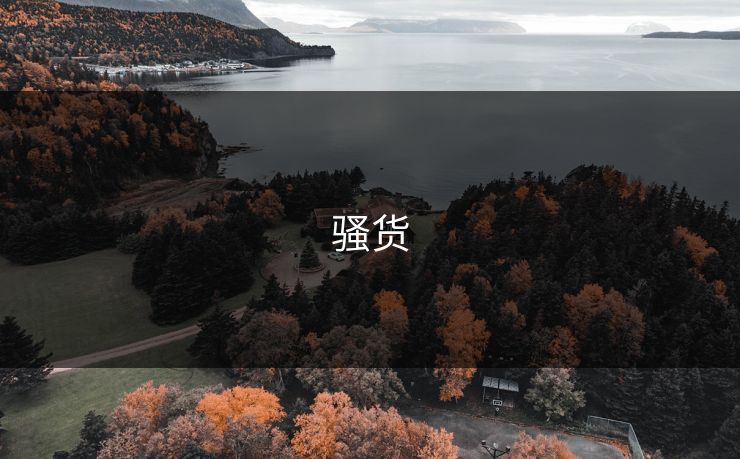 骚货 骚货