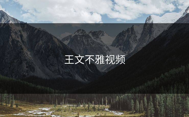 王文不雅视频