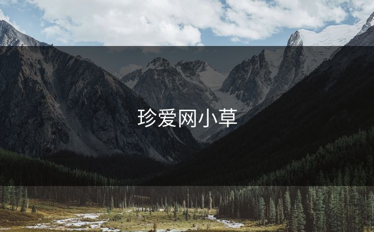 珍爱网小草